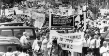 Animal Rights March 1990