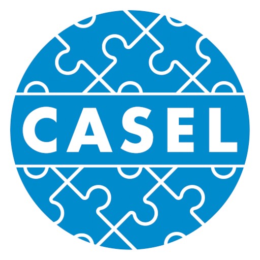 LSI Partners With CASEL