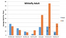 Whitfly Adult Results Heat vs. Grower Standard
