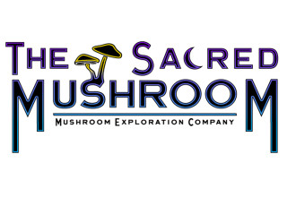 Kaya Holdings, Tuesday, May 23, 2023, Press release picture