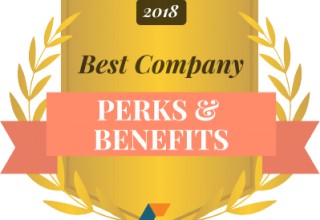 Best Companies for Perks and Benefits