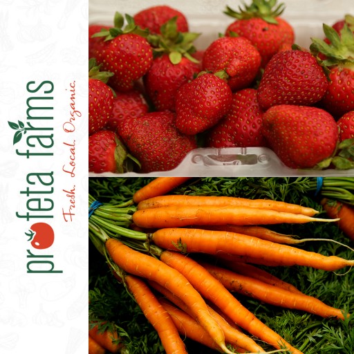 Profeta Farms Now Delivering Farm-Fresh Organic Food to Jersey City and Hoboken