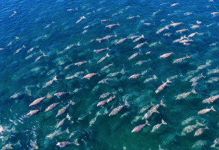 Qatar Tourism / Mehsin Al-Ansi Al-Yafei