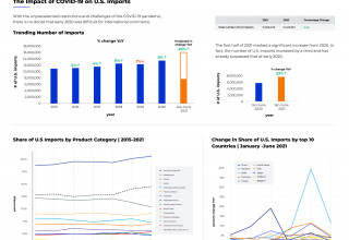 Global Imports Report 2021