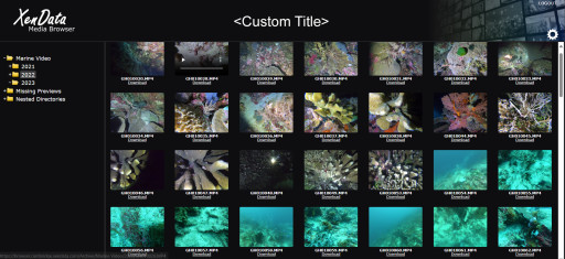 XenData Announces Media Portal for Its LTO and Cloud Archive Solutions