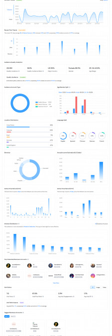 Sample Instagram Analytics Report