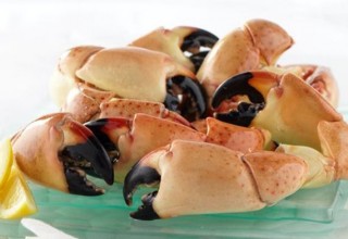 Florida Stone Crab