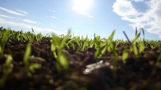 MinexSystems Offers 4 Reasons to Join MineCoin ICO This Week