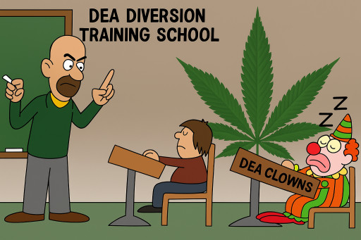 DEA DIVERSION Scandal Exposed - Marijuana Drug Development Obstruction