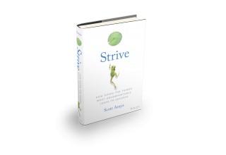 Strive Book Cover