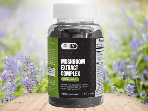 Best Mushroom Gummies for Focus of 2025? Pilly Labs' Adaptogenic Stack Dominates New Functional Wellness Rankings