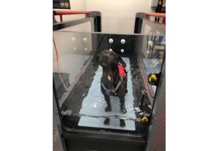 Underwater Treadmill