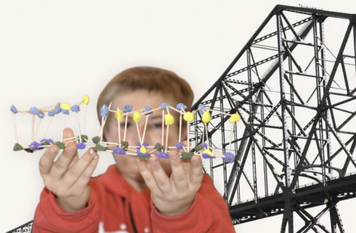 Next Generation Science Standards (NGSS)-Based Curriculum Helps Improve Math and Writing Skills Too