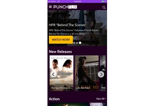 PunchFlix 