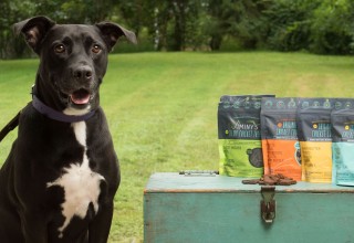 Elliot & Cricket Treats