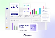 Pequity's People Insights + Comp Health Dashboard