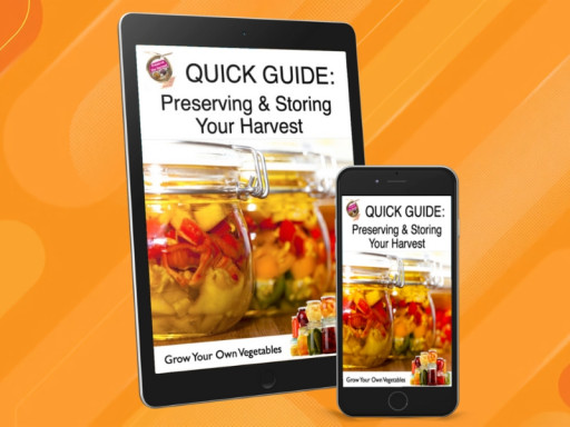 Grow Your Own Vegetables: Sustainable Gardening Made Easy