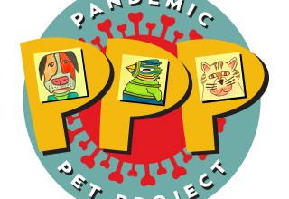 Pandemic Pet Project 