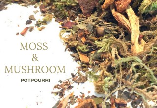 Moss & Mushroom Potpourri by Widdershins.Co