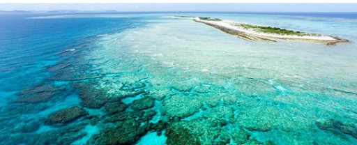 Juliet Vercelli Hosts  "South Pacific Bucket List Vacations" With Jay Fehan Benicia - August 18, 2015