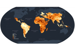 Global Water Shortages