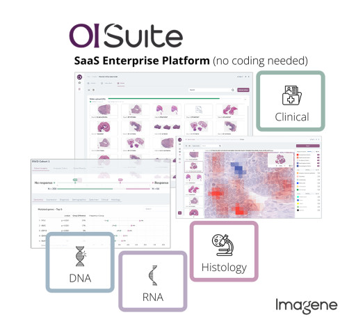 Imagene AI and Sheba Medical Center Launch a Precision Oncology Intelligence Alliance to Scale Personalized Cancer Care