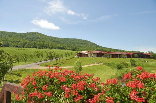 Eupepsia Launches Immunity-Boosting Outdoor Wellness Staycations