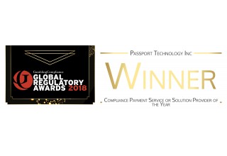 Payment Service or Solution Provider 