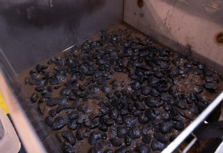 Boxcore Nodule Sampling