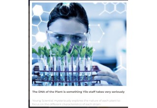 The DNA of the Plant is something Yilo staff takes very seriously