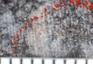 Mawson Gold Limited, Tuesday, May 16, 2023, Press release picture