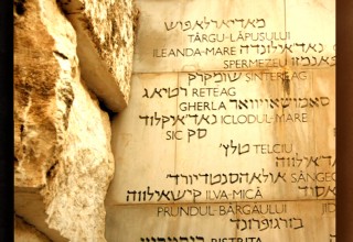 The Rescuers has won 30 film festival awards