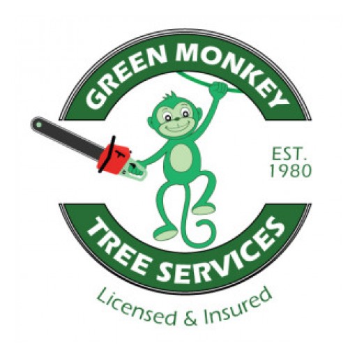 Tree Trimming in Coral Springs and Pompano Beach FL Available at Reasonable Rates