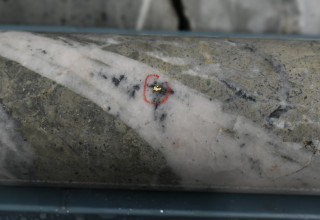 Mawson Gold Limited, Tuesday, May 16, 2023, Press release picture