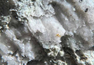 Mawson Gold Limited, Monday, November 7, 2022, Press release picture