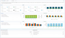 vManager Program Health Report