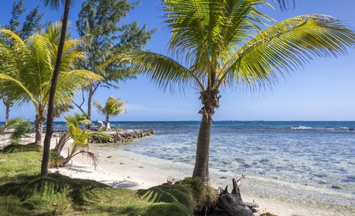 Coldwell Banker Ambergris Caye: Belize's Established Hollywood Persona, Coppola, Announces Island Hideaway