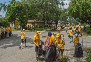 Forty-four tons of debris were collected and disposed of in Clearwater after Hurricane Irma.