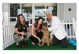 Subaru of Pembroke Pines Dog Appreciation Pawty