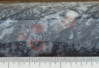 Mawson Gold Limited, Monday, November 21, 2022, Press release picture