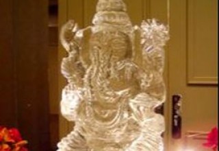 Logan Cassell, Logan Cassell Rehoboth Beach, Logan Cassell Delaware