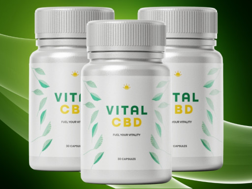Vital CBD Offers 2025 Wellness Support Through Cannabis-Derived Supplementation for Full-Body Vitality