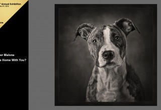 "Can I Come Home With You"