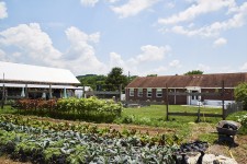 The Old School Farm - Nashville, TN