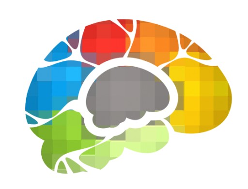 Top-Ranked eLearning Courses From Bigger Brains Now Available Free Through Jan. 31