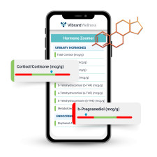 Hormone Zoomer Sample Report Mockup