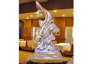 Logan Cassell, Logan Cassell Rehoboth Beach, Logan Cassell Delaware