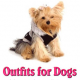 Outfits for Dogs