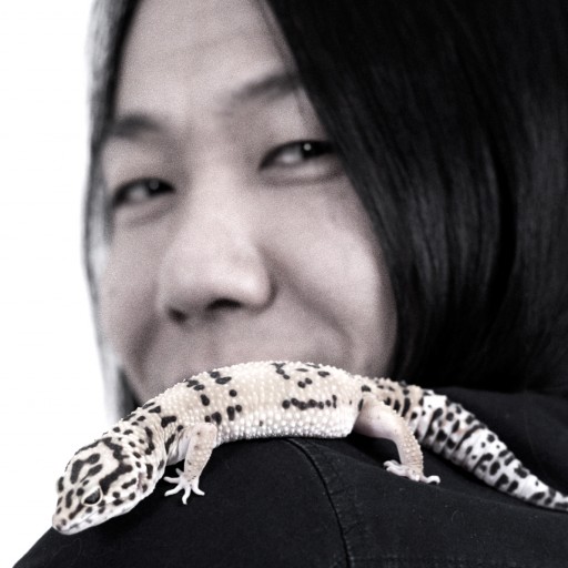 New Media Is Going Global From Day One