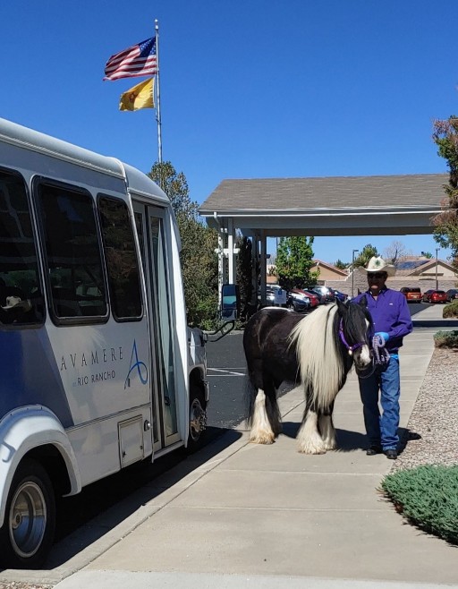 Therapy Horse Cheers Up Avamere at Rio Rancho Residents